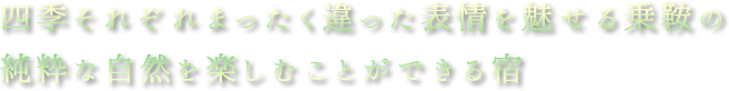 家族的な雰囲気の福島屋は憩いの宿としておもてなしの心を大切にしています